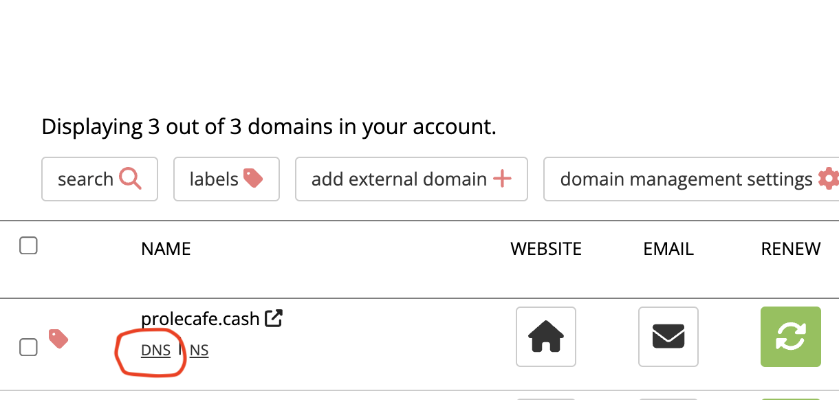 example of managing your DNS domain